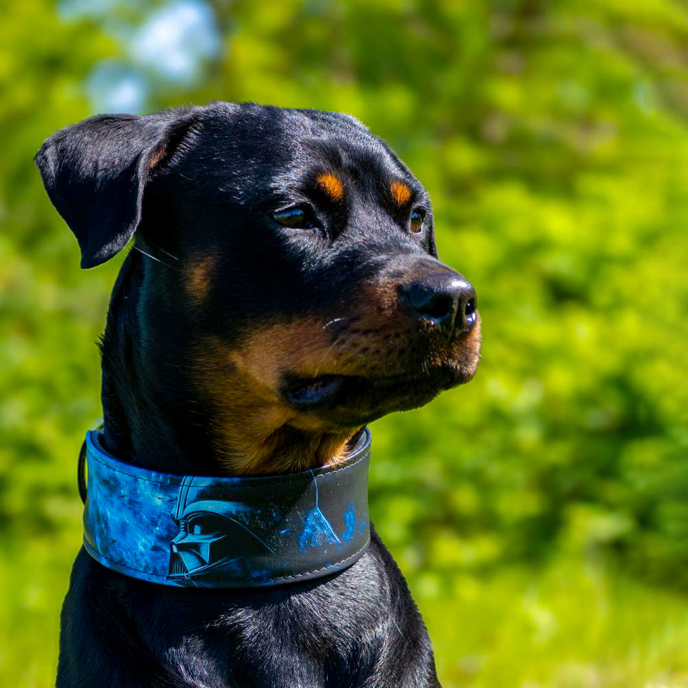 The Darth Force Limited Collar