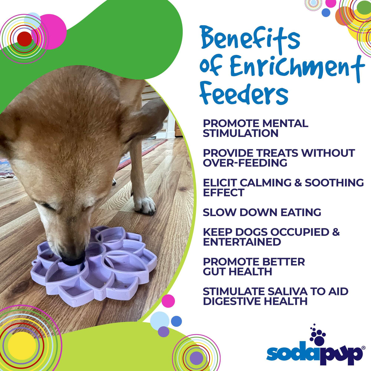 Mandala Softie eTray Shallow Slow Feeder Dog Bowl with Suction Cups |  USA Made