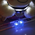 LED Pet Tag Pendant, Safe Dog Collar Accessory