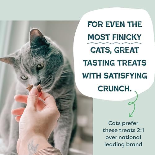 Shameless Pets Crunchy inCat Treats - Kitty Treats for Cats with Skin & Coat Support, Natural Ingredients Kitten Treats with Real Salmon, Healthy Flavored Feline Snacks - Yam Good Salmon, 1-Pk