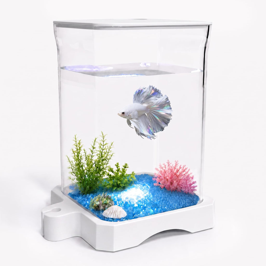 5 Gallon Fish Tank Aquarium Starter Kit with Filter and Light(Large Black)