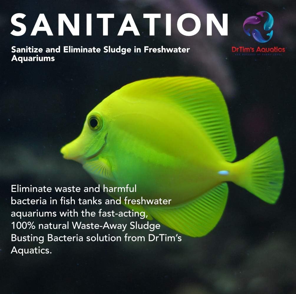 DrTim's Aquatics Waste-Away Freshwater (DrTim's Aquatics Waste-Away Freshwater 4oz)