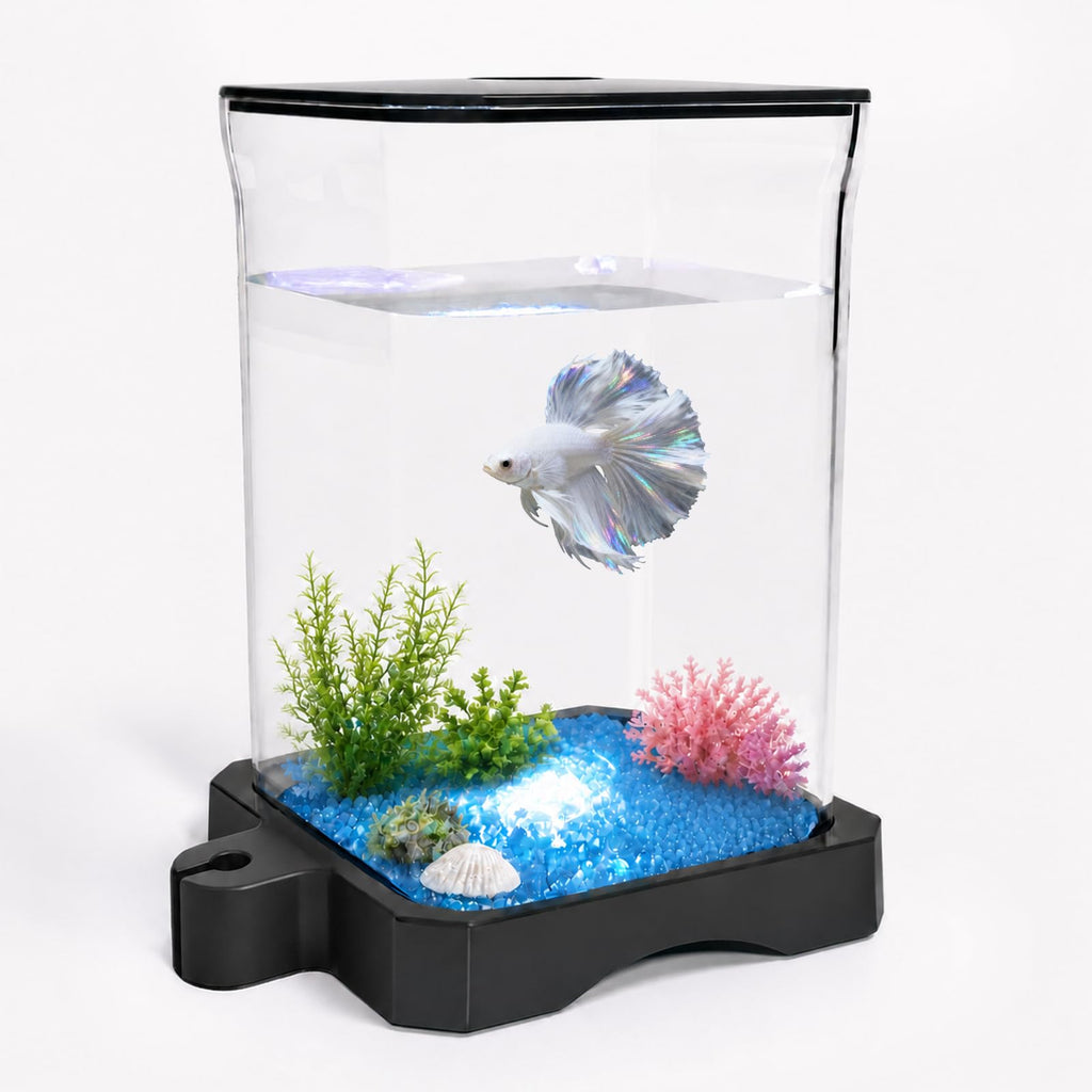 5 Gallon Fish Tank Aquarium Starter Kit with Filter and Light(Large Black)