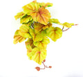 Yellow Reptile Terrarium Plants Fake Heuchera Hanging Suction Décor
