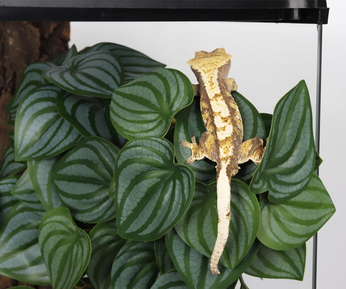 Yellow Reptile Terrarium Plants Fake Heuchera Hanging Suction Décor