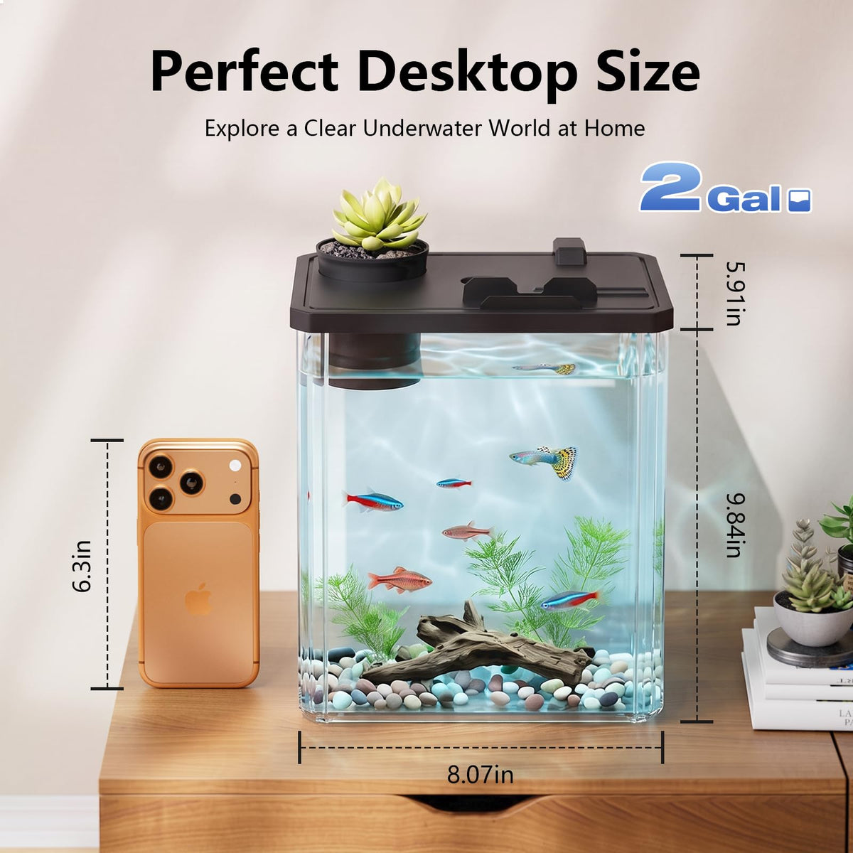 5 Gallon Fish Tank Aquarium Starter Kit with Filter and Light(Large Black)