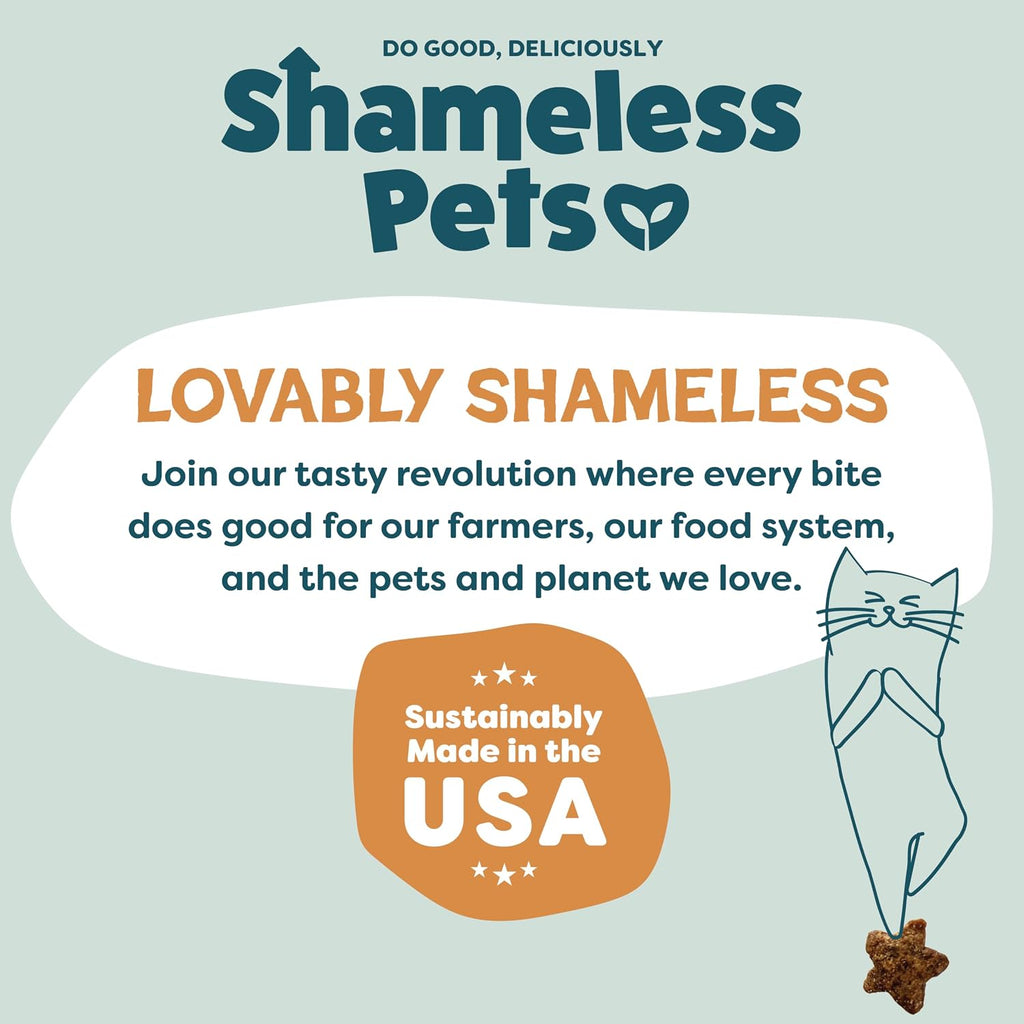 Shameless Pets Crunchy inCat Treats - Kitty Treats for Cats with Skin & Coat Support, Natural Ingredients Kitten Treats with Real Salmon, Healthy Flavored Feline Snacks - Yam Good Salmon, 1-Pk