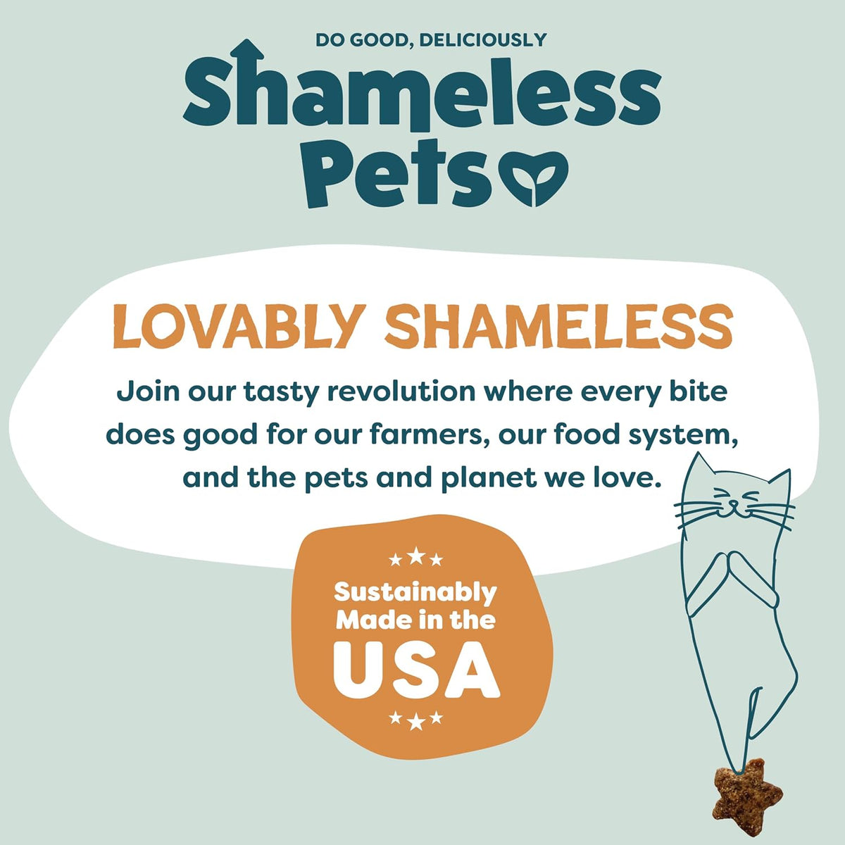 Shameless Pets Crunchy inCat Treats - Kitty Treats for Cats with Skin & Coat Support, Natural Ingredients Kitten Treats with Real Salmon, Healthy Flavored Feline Snacks - Yam Good Salmon, 1-Pk
