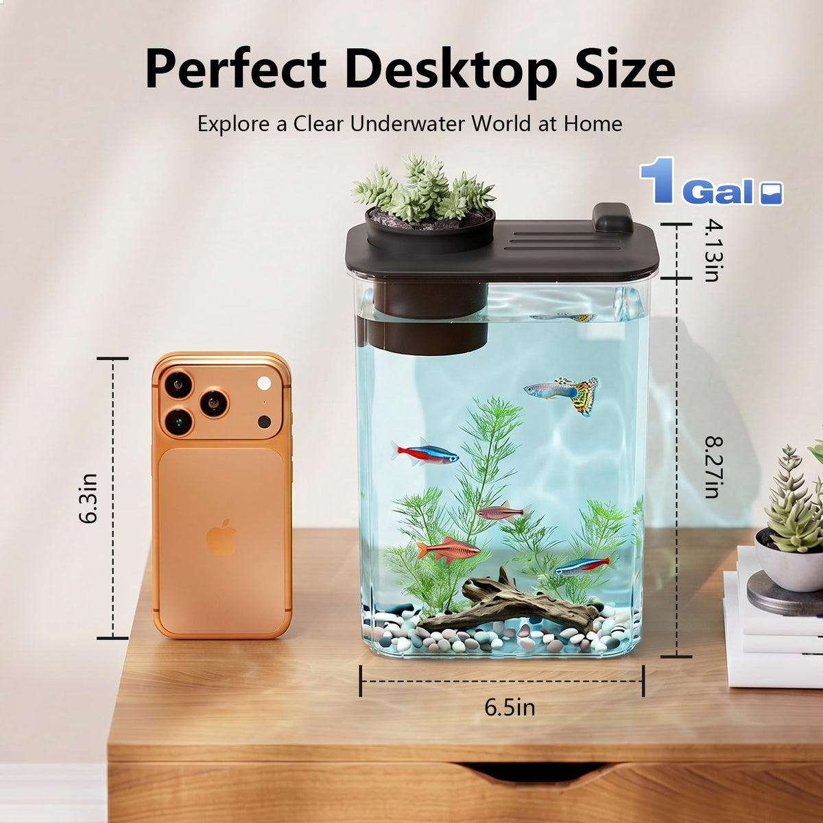 5 Gallon Fish Tank Aquarium Starter Kit with Filter and Light(Large Black)