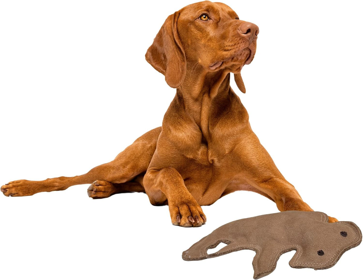 SPOT Dura-Fused Leather Buffalo Dog Toy – Durable Real Leather & Jute Chew Toy with Squeaker, Double-Stitched for Moderate Chewers, Medium & Large Dogs, 11.5in