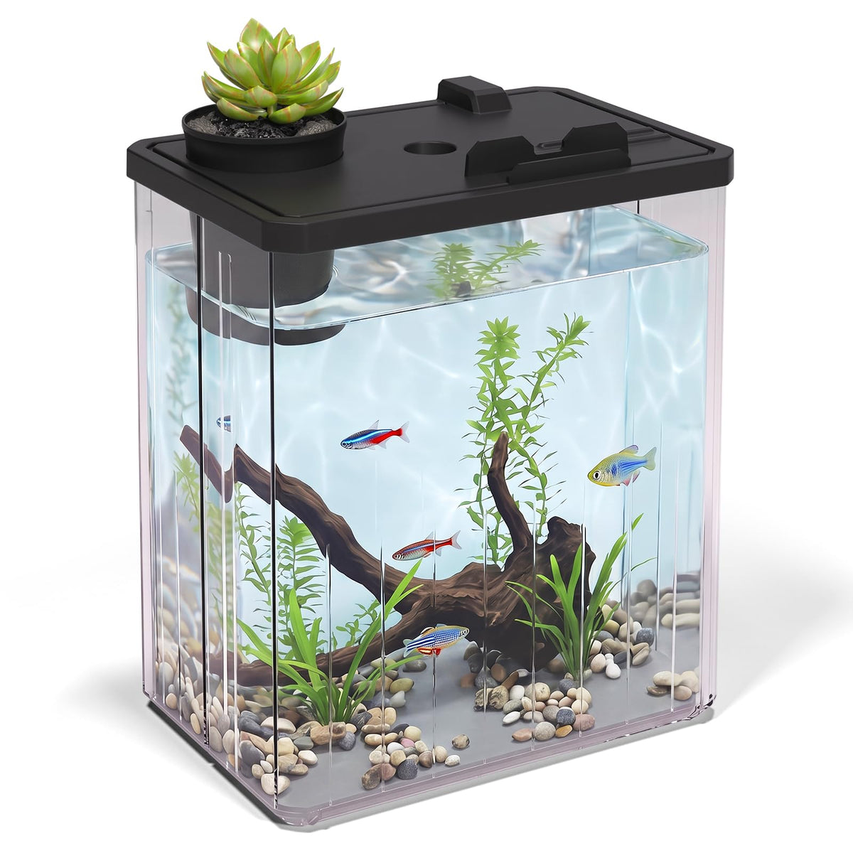 5 Gallon Fish Tank Aquarium Starter Kit with Filter and Light(Large Black)