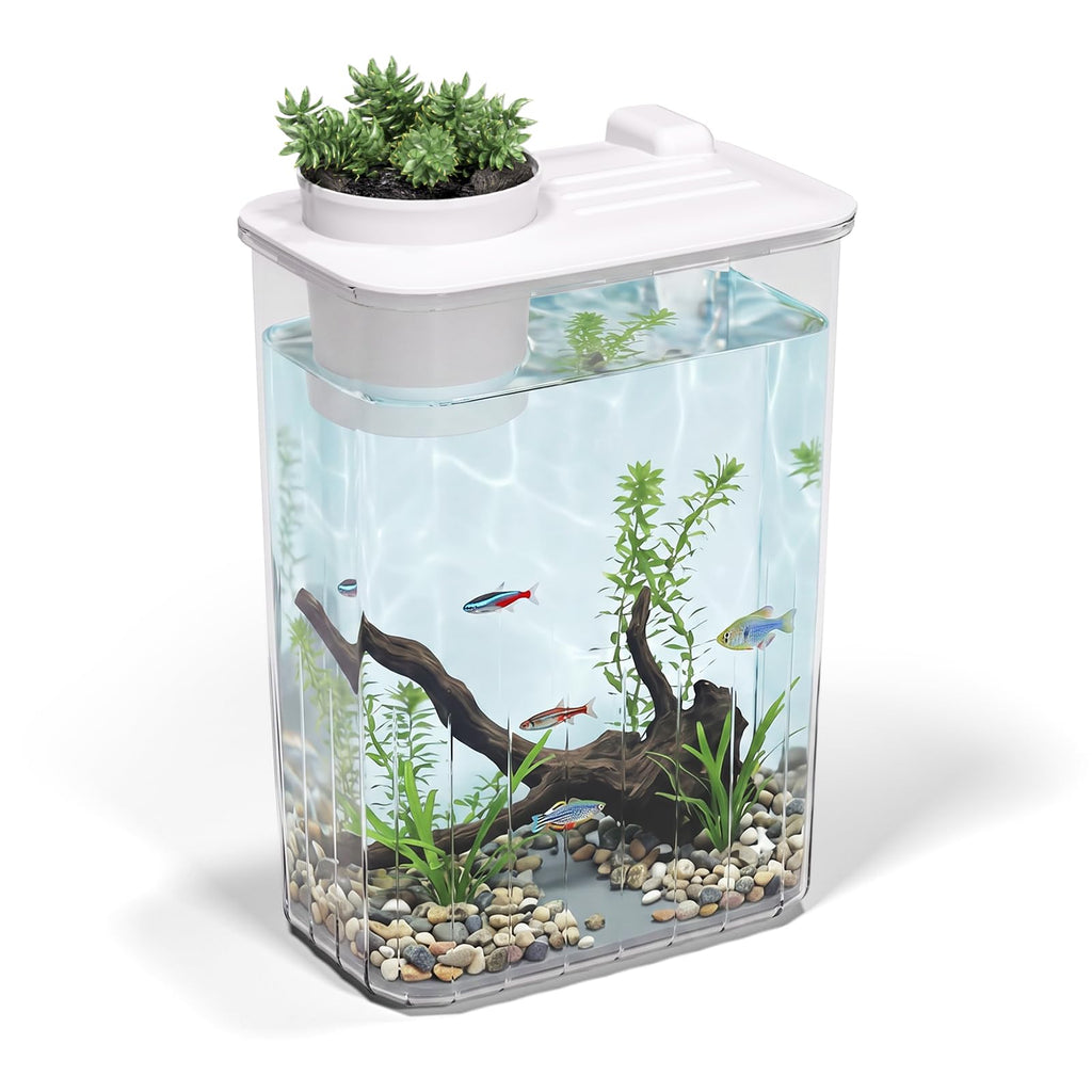 5 Gallon Fish Tank Aquarium Starter Kit with Filter and Light(Large Black)