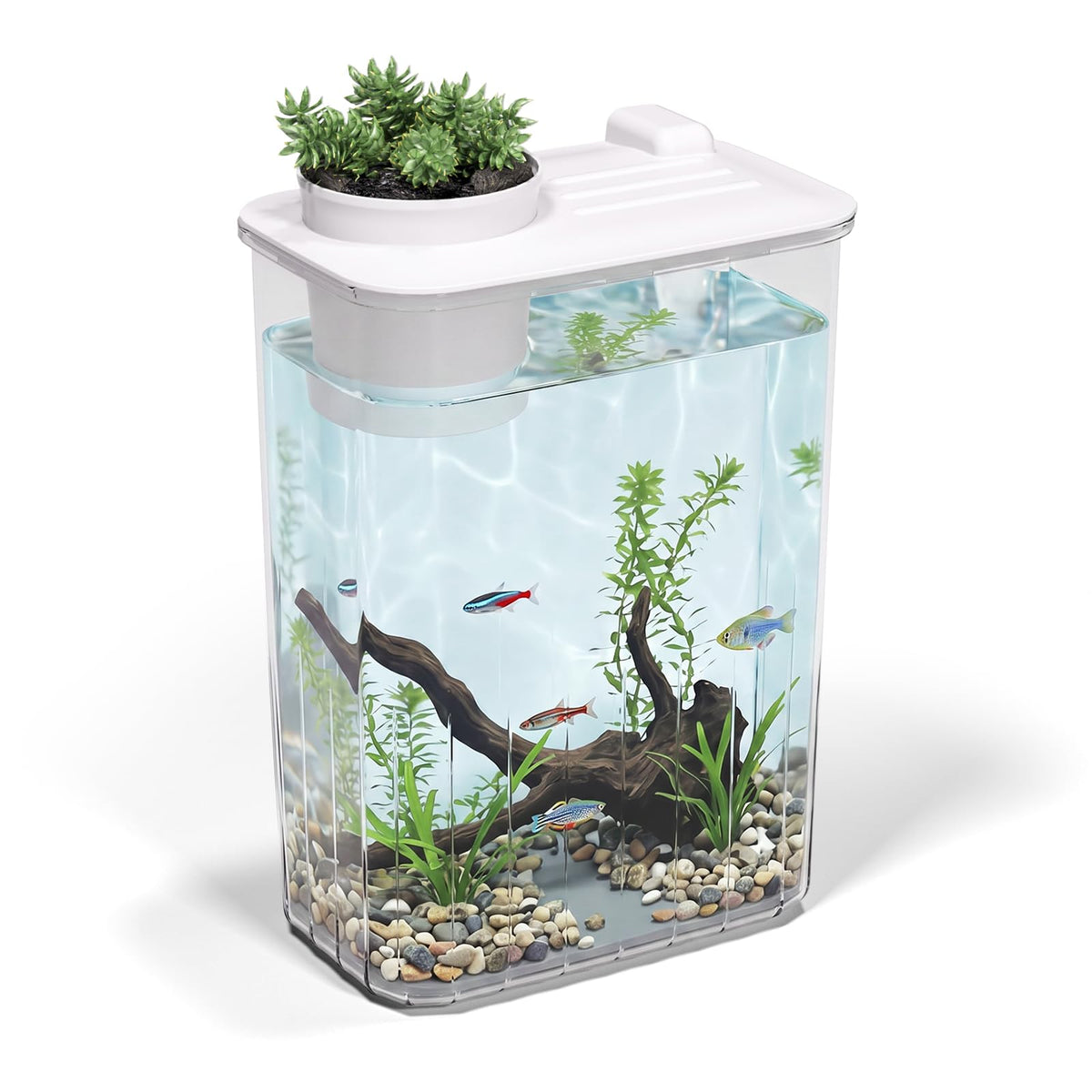 5 Gallon Fish Tank Aquarium Starter Kit with Filter and Light(Large Black)