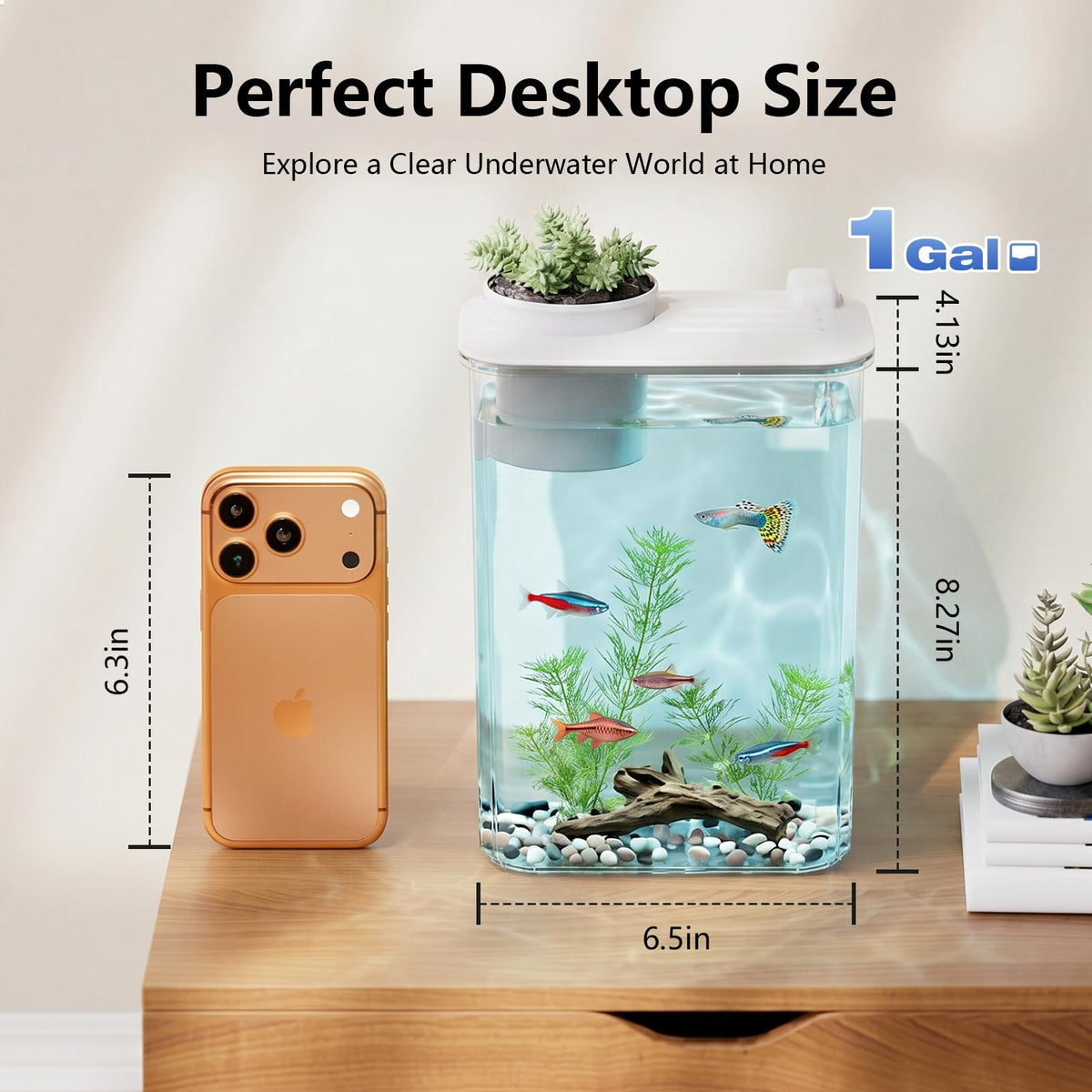 5 Gallon Fish Tank Aquarium Starter Kit with Filter and Light(Large Black)