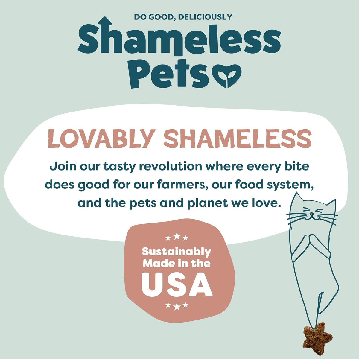 Shameless Pets Crunchy inCat Treats - Kitty Treats for Cats with Skin & Coat Support, Natural Ingredients Kitten Treats with Real Salmon, Healthy Flavored Feline Snacks - Yam Good Salmon, 1-Pk
