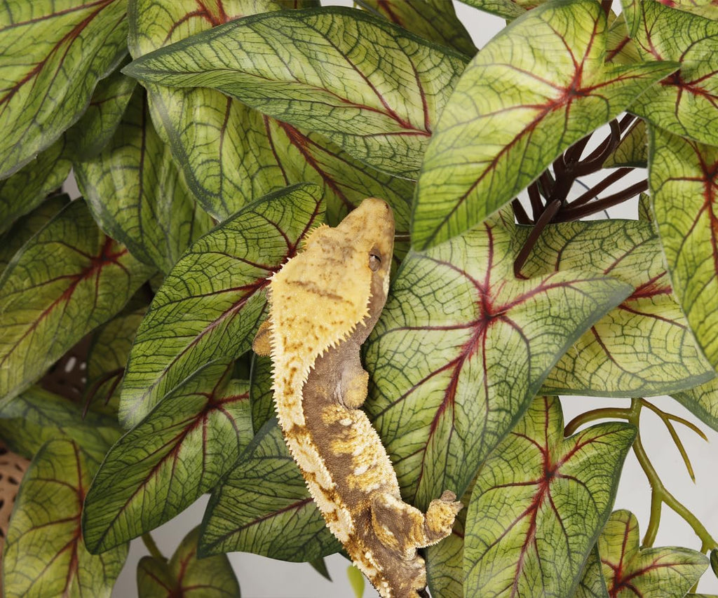 Yellow Reptile Terrarium Plants Fake Heuchera Hanging Suction Décor