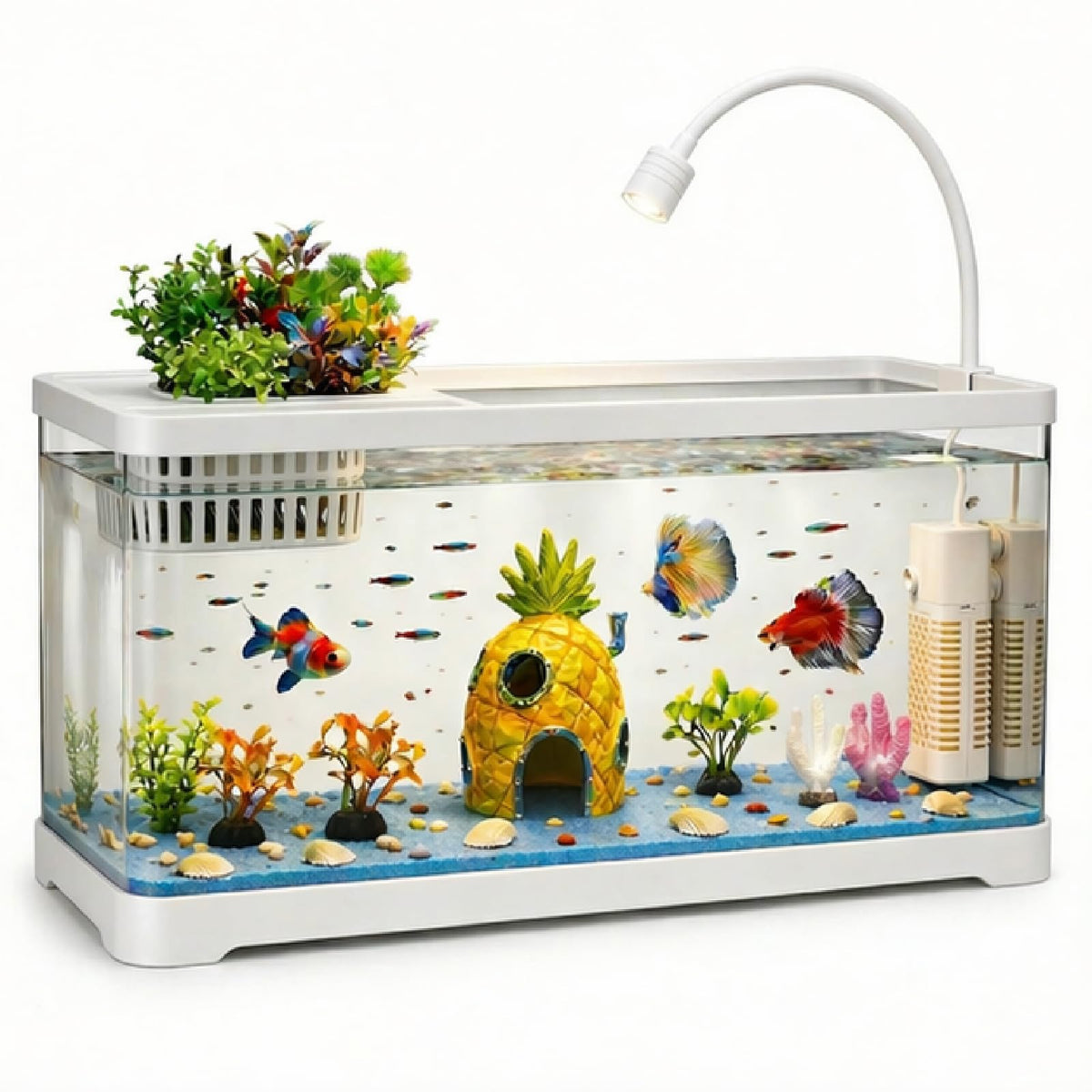 5 Gallon Fish Tank Aquarium Starter Kit with Filter and Light(Large Black)