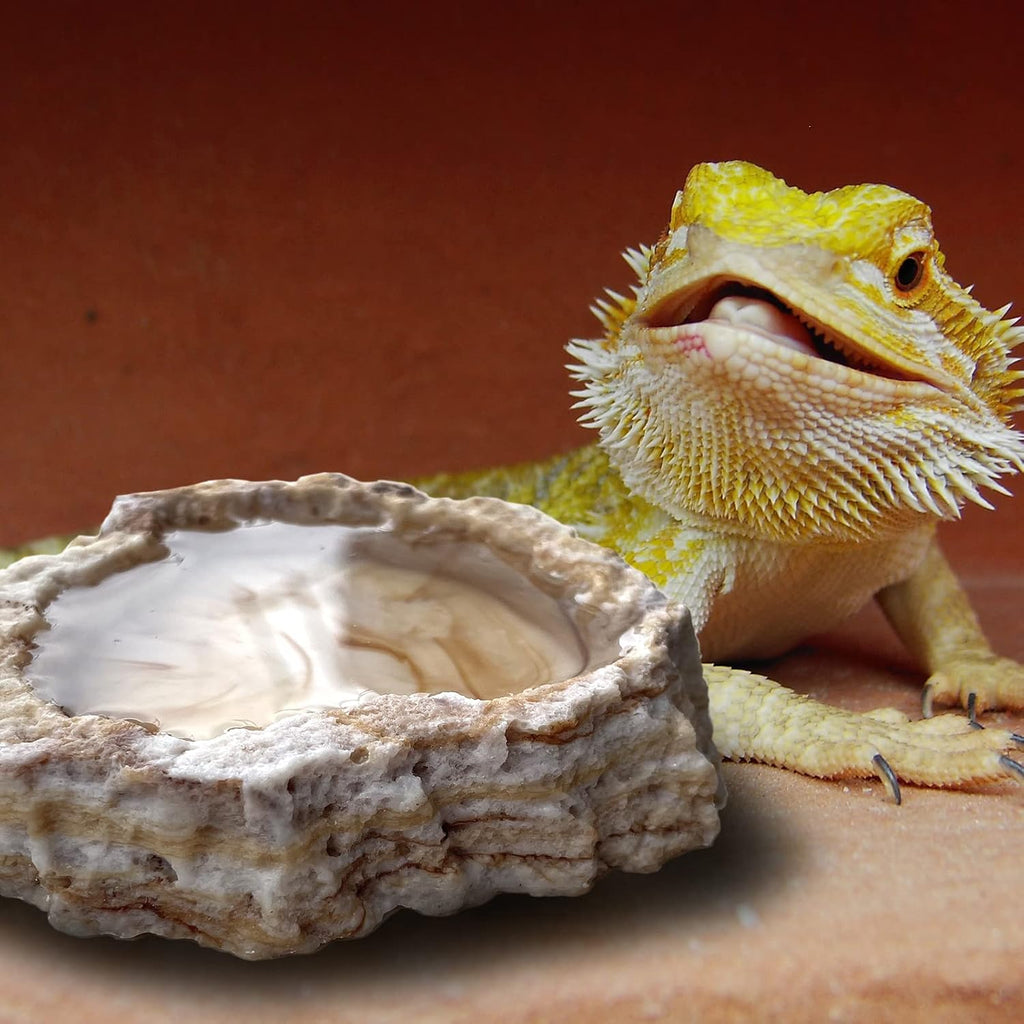 AcceLeah 2 Pack Reptile Food Bowls for Leopard Gecko Lizard Spider Scorpion