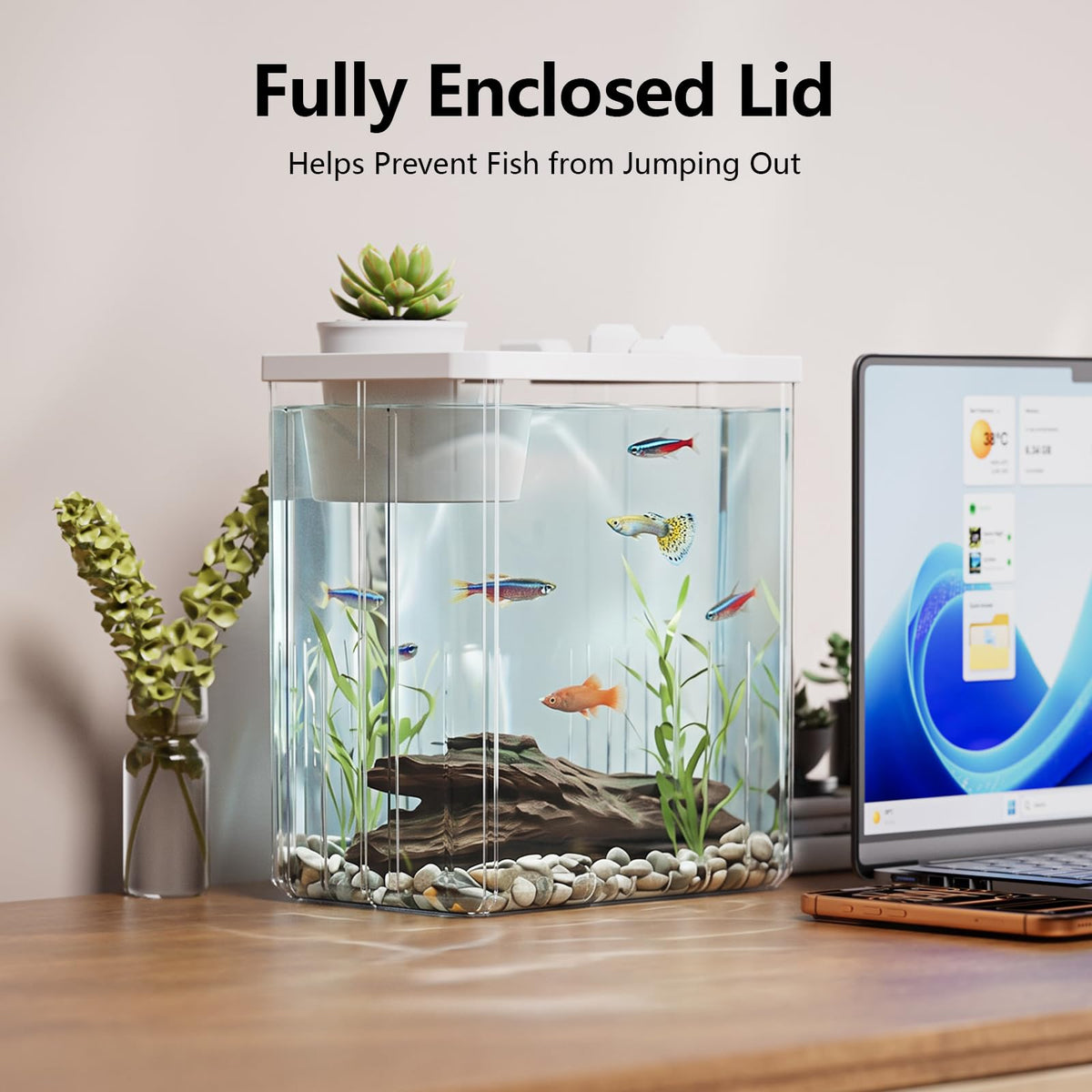 5 Gallon Fish Tank Aquarium Starter Kit with Filter and Light(Large Black)