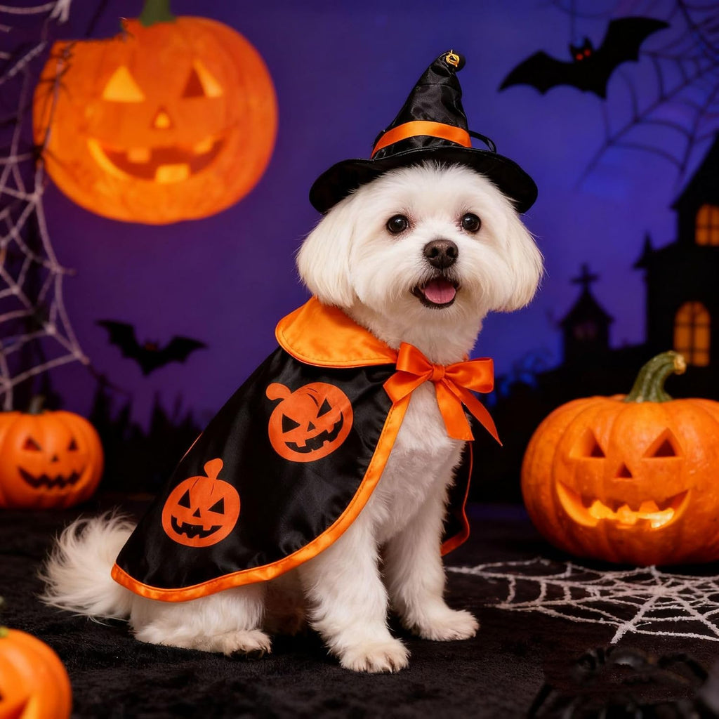 Halloween Costumes for Small Cats Witch Cloak Wizard Hat Cat Halloween Accessories Pet Costumes for Pet Cat Small Dog Cosplay Party Decorations