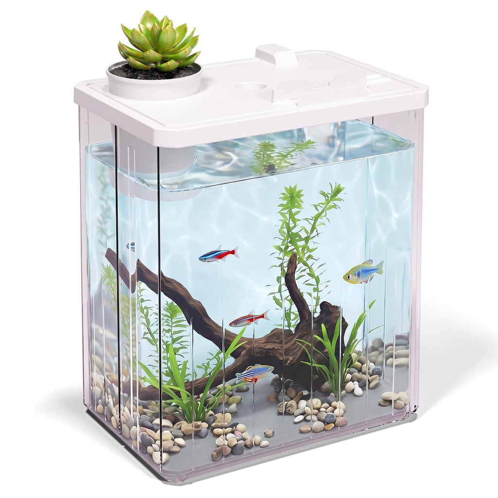 5 Gallon Fish Tank Aquarium Starter Kit with Filter and Light(Large Black)