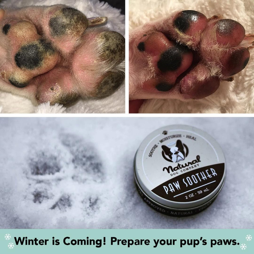 Natural Dog Company PawTection Dog Paw Wax – 0.15 oz Stick