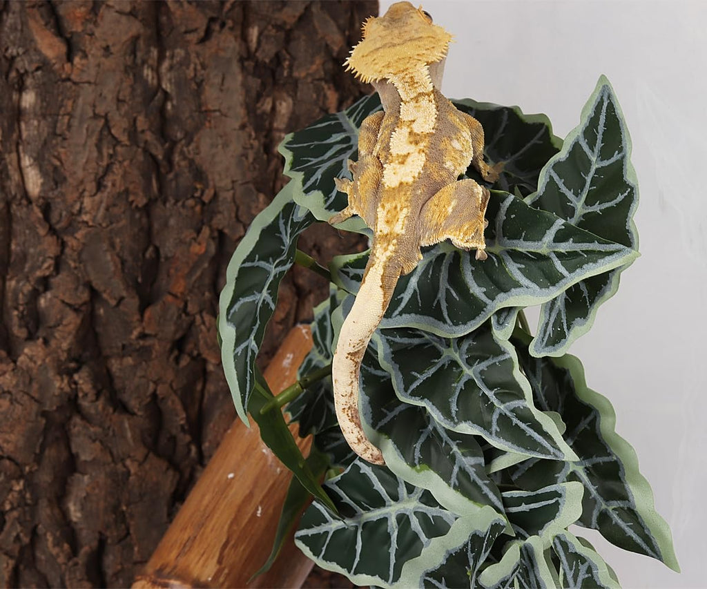Yellow Reptile Terrarium Plants Fake Heuchera Hanging Suction Décor
