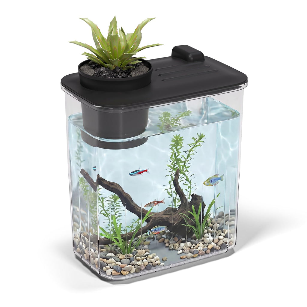 5 Gallon Fish Tank Aquarium Starter Kit with Filter and Light(Large Black)