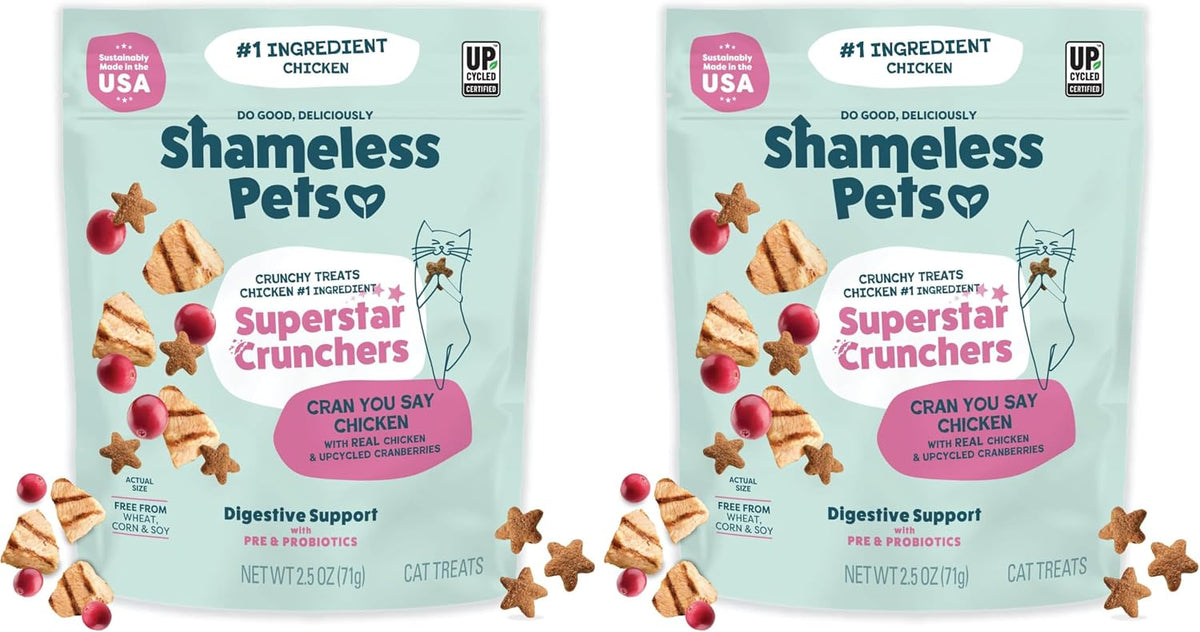 Shameless Pets Crunchy inCat Treats - Kitty Treats for Cats with Skin & Coat Support, Natural Ingredients Kitten Treats with Real Salmon, Healthy Flavored Feline Snacks - Yam Good Salmon, 1-Pk