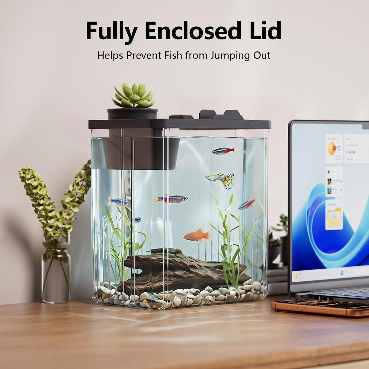 5 Gallon Fish Tank Aquarium Starter Kit with Filter and Light(Large Black)
