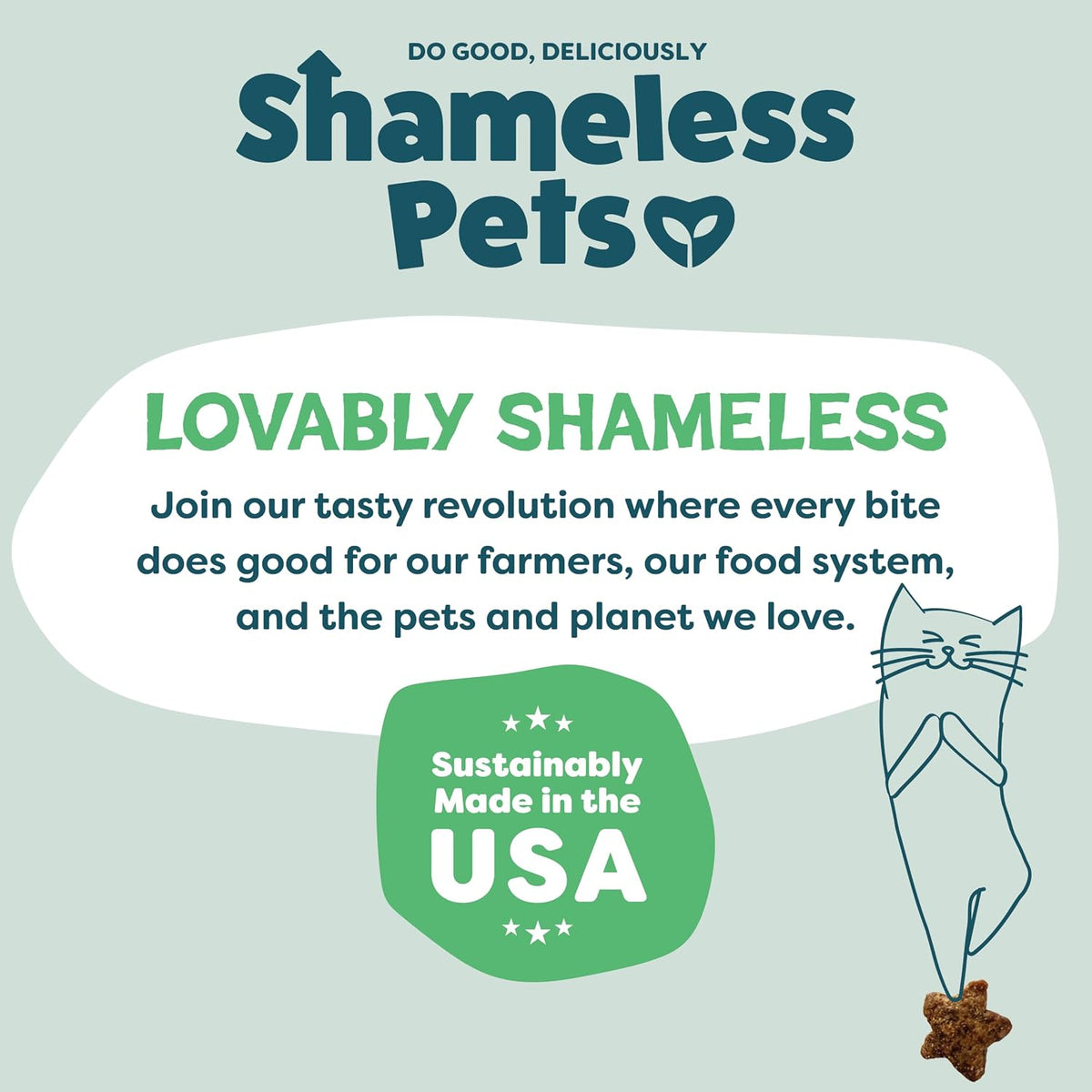 Shameless Pets Crunchy inCat Treats - Kitty Treats for Cats with Skin & Coat Support, Natural Ingredients Kitten Treats with Real Salmon, Healthy Flavored Feline Snacks - Yam Good Salmon, 1-Pk