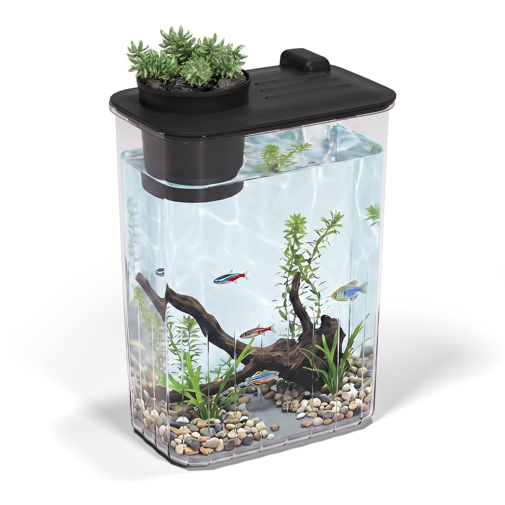 5 Gallon Fish Tank Aquarium Starter Kit with Filter and Light(Large Black)