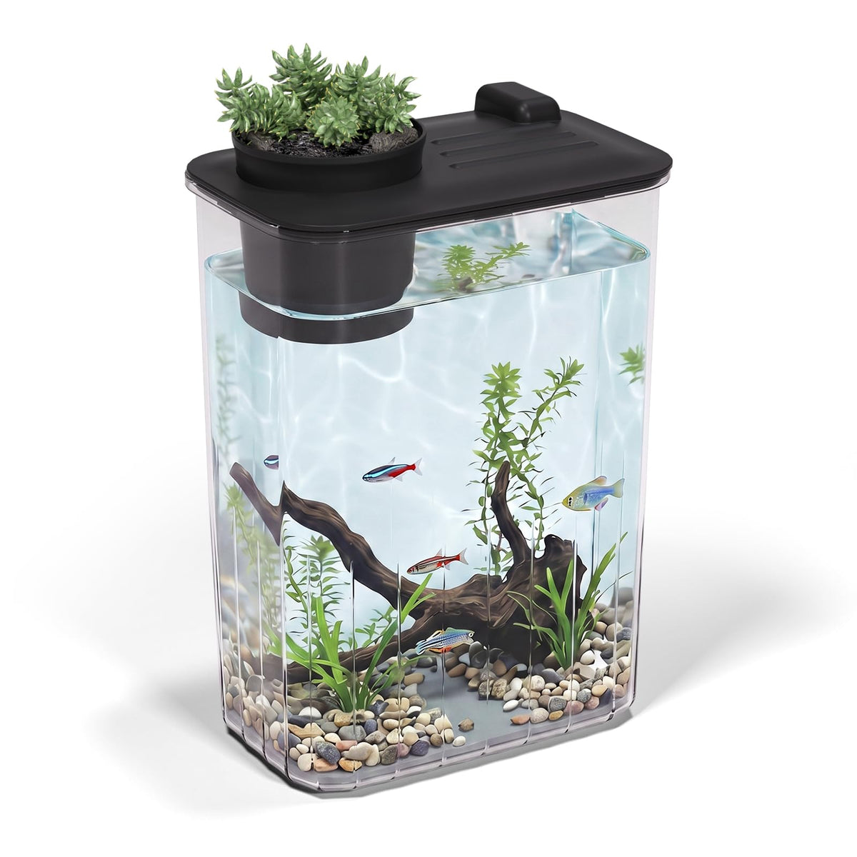 5 Gallon Fish Tank Aquarium Starter Kit with Filter and Light(Large Black)