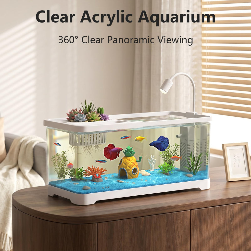 5 Gallon Fish Tank Aquarium Starter Kit with Filter and Light(Large Black)