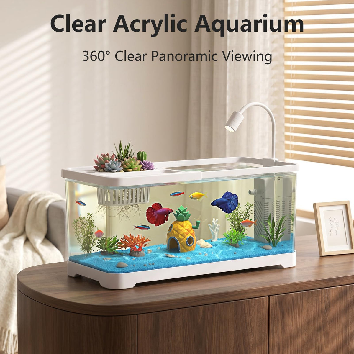 5 Gallon Fish Tank Aquarium Starter Kit with Filter and Light(Large Black)
