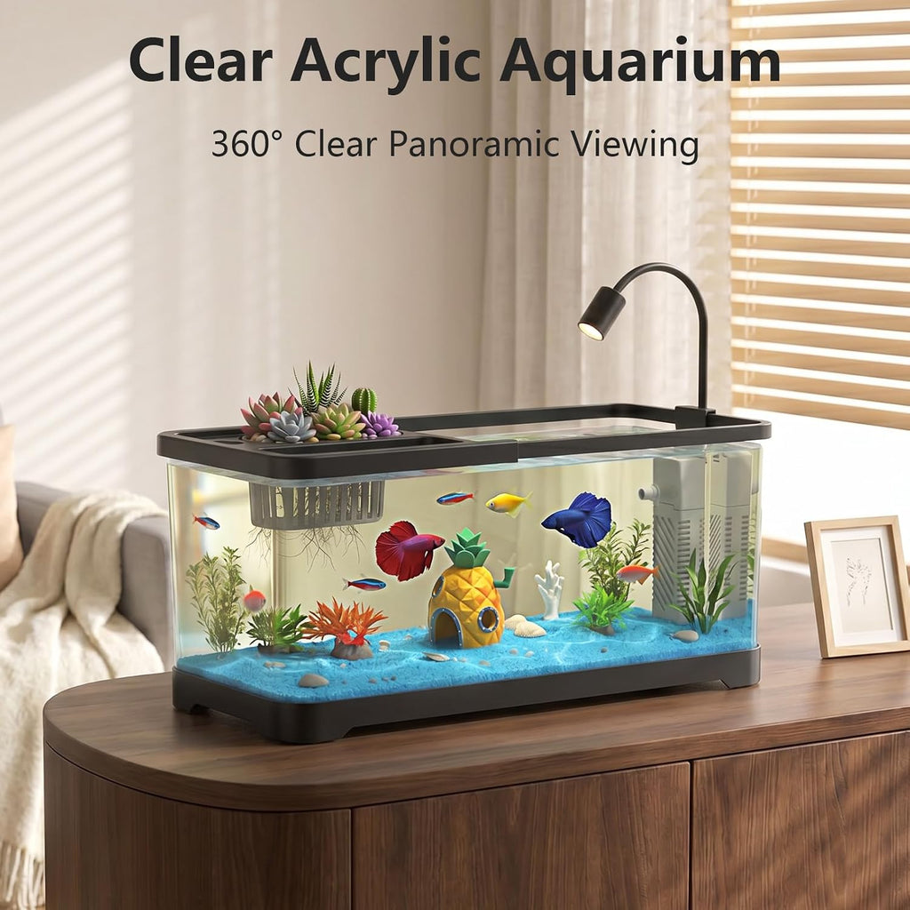 5 Gallon Fish Tank Aquarium Starter Kit with Filter and Light(Large Black)