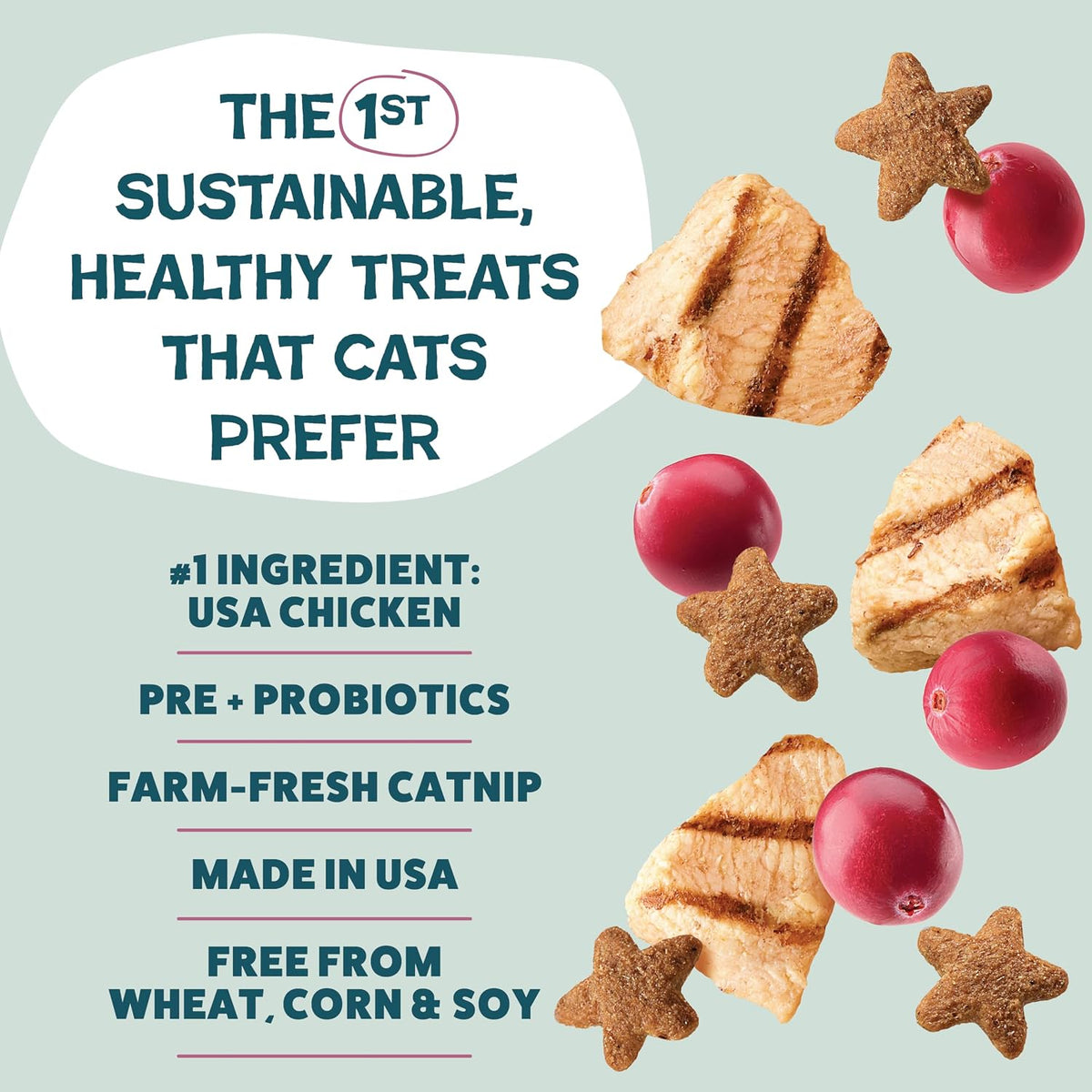 Shameless Pets Crunchy inCat Treats - Kitty Treats for Cats with Skin & Coat Support, Natural Ingredients Kitten Treats with Real Salmon, Healthy Flavored Feline Snacks - Yam Good Salmon, 1-Pk