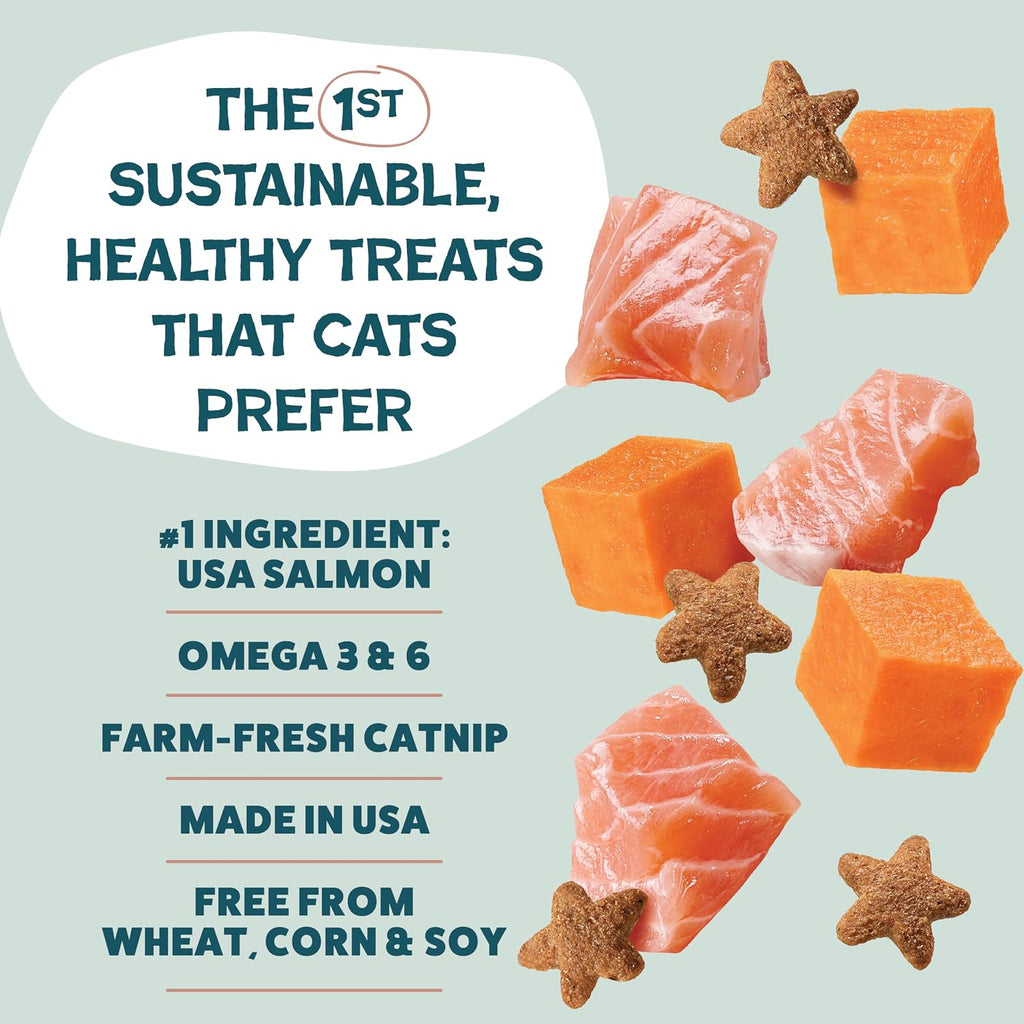 Shameless Pets Crunchy inCat Treats - Kitty Treats for Cats with Skin & Coat Support, Natural Ingredients Kitten Treats with Real Salmon, Healthy Flavored Feline Snacks - Yam Good Salmon, 1-Pk