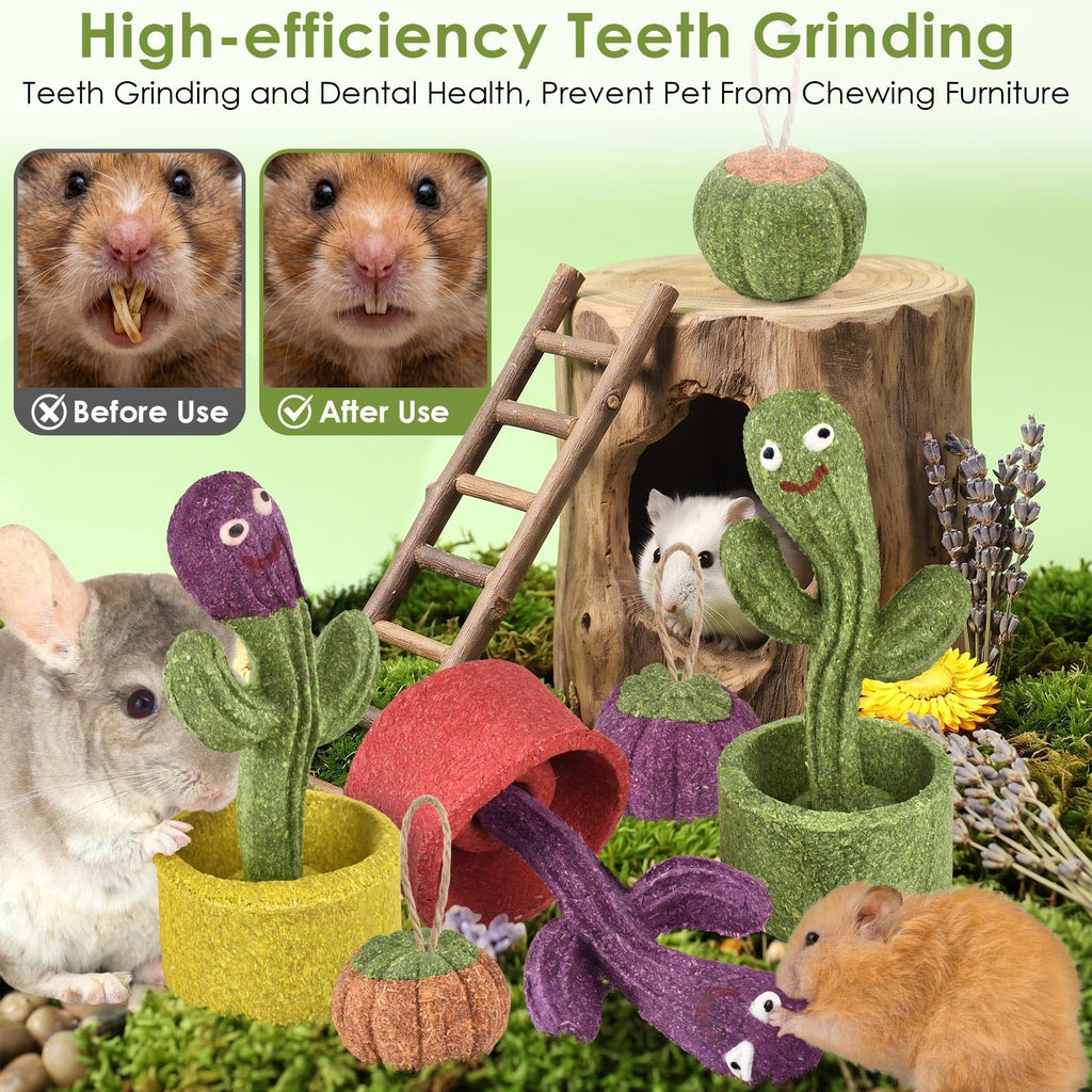 ERKOON 2Pcs Guinea Pig Chew Toys, Natural Timothy Grass & Vegetables Bunny Treats, Prevent Teeth Overgrowth, Small Animal Molar Toy for Rabbit, Hamster, Chinchilla, Gerbil Habitat Decor，Cactus-Shaped
