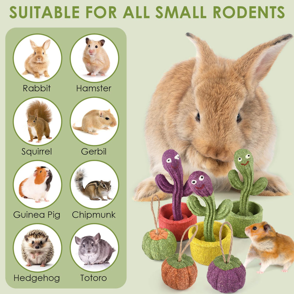 ERKOON 2Pcs Guinea Pig Chew Toys, Natural Timothy Grass & Vegetables Bunny Treats, Prevent Teeth Overgrowth, Small Animal Molar Toy for Rabbit, Hamster, Chinchilla, Gerbil Habitat Decor，Cactus-Shaped