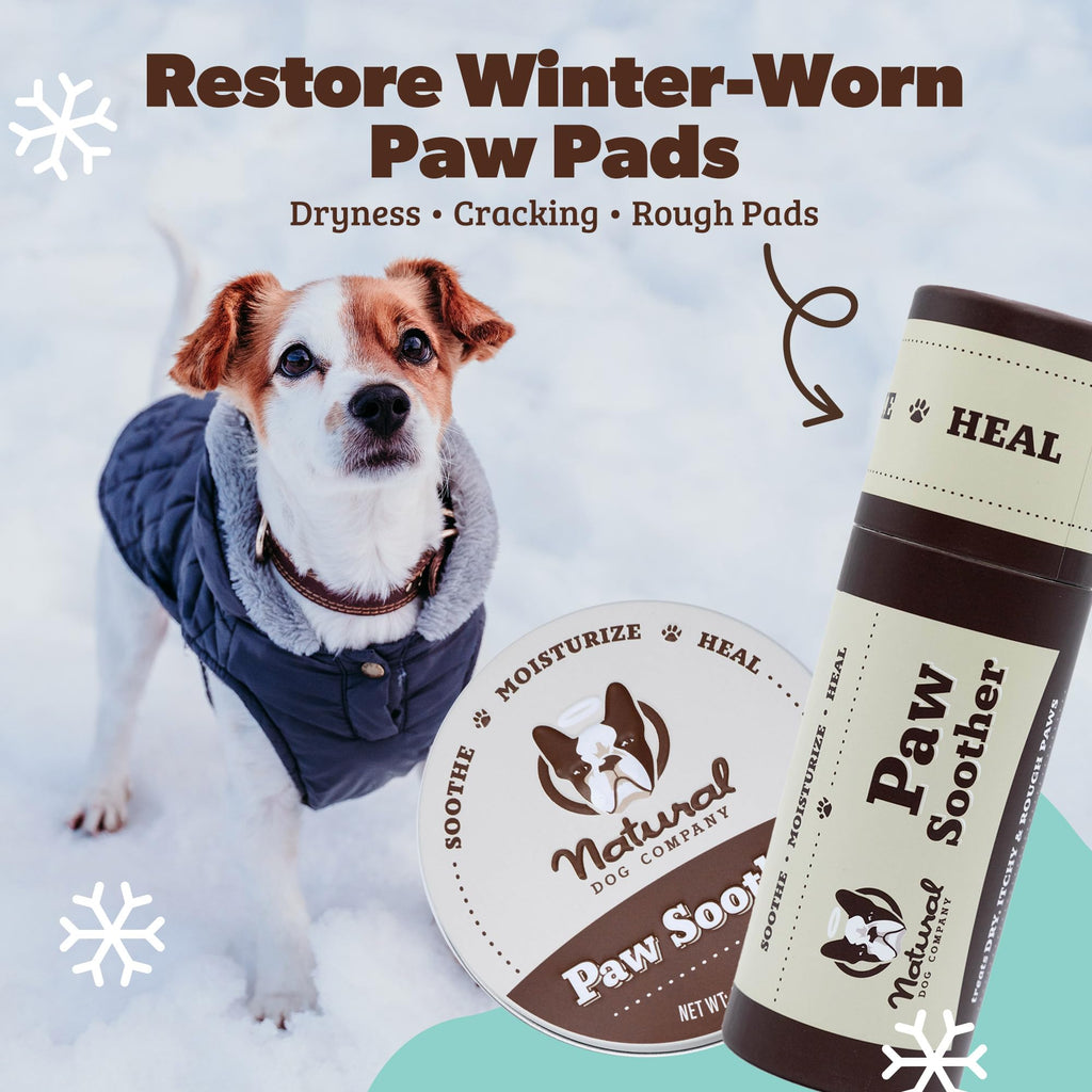 Natural Dog Company PawTection Dog Paw Wax – 0.15 oz Stick