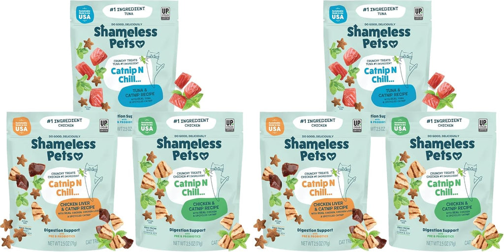 Shameless Pets Crunchy inCat Treats - Kitty Treats for Cats with Skin & Coat Support, Natural Ingredients Kitten Treats with Real Salmon, Healthy Flavored Feline Snacks - Yam Good Salmon, 1-Pk