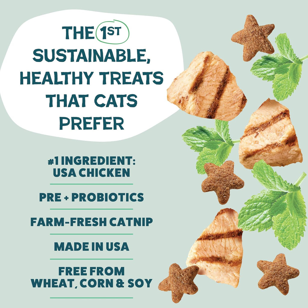 Shameless Pets Crunchy inCat Treats - Kitty Treats for Cats with Skin & Coat Support, Natural Ingredients Kitten Treats with Real Salmon, Healthy Flavored Feline Snacks - Yam Good Salmon, 1-Pk