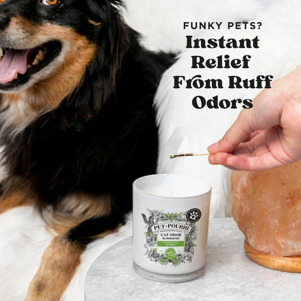 Pet-Pourri Pawsitively Fresh Pet Odor Deodorizer Candle, 7.5 Oz