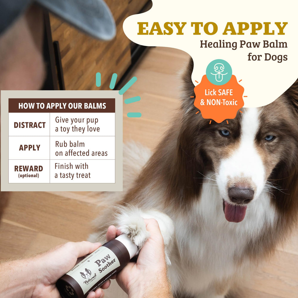 Natural Dog Company PawTection Dog Paw Wax – 0.15 oz Stick