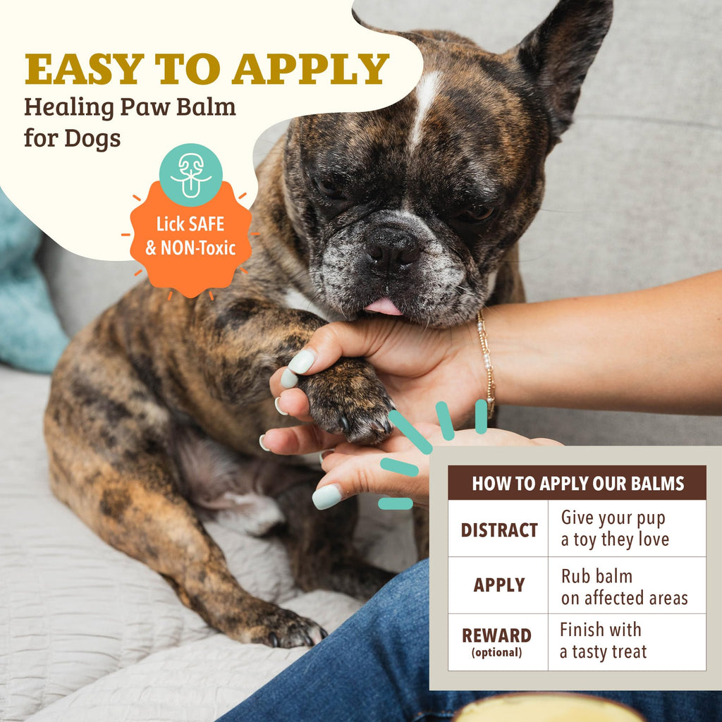Natural Dog Company PawTection Dog Paw Wax – 0.15 oz Stick