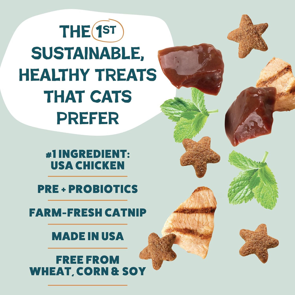 Shameless Pets Crunchy inCat Treats - Kitty Treats for Cats with Skin & Coat Support, Natural Ingredients Kitten Treats with Real Salmon, Healthy Flavored Feline Snacks - Yam Good Salmon, 1-Pk