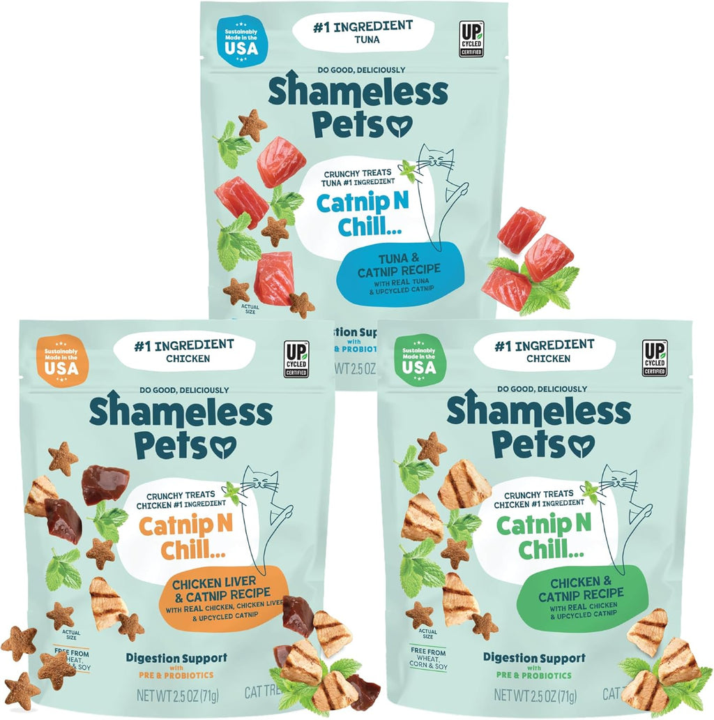 Shameless Pets Crunchy inCat Treats - Kitty Treats for Cats with Skin & Coat Support, Natural Ingredients Kitten Treats with Real Salmon, Healthy Flavored Feline Snacks - Yam Good Salmon, 1-Pk