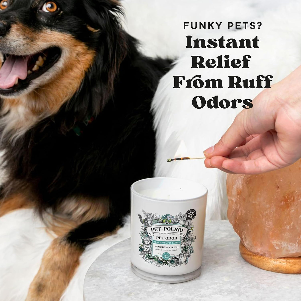 Pet-Pourri Pawsitively Fresh Pet Odor Deodorizer Candle, 7.5 Oz