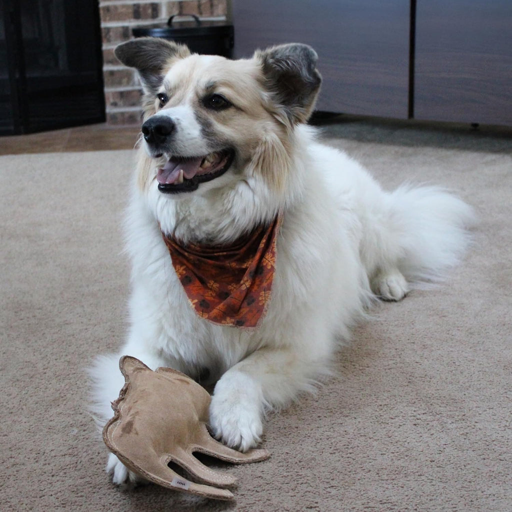 SPOT Dura-Fused Leather Buffalo Dog Toy – Durable Real Leather & Jute Chew Toy with Squeaker, Double-Stitched for Moderate Chewers, Medium & Large Dogs, 11.5in